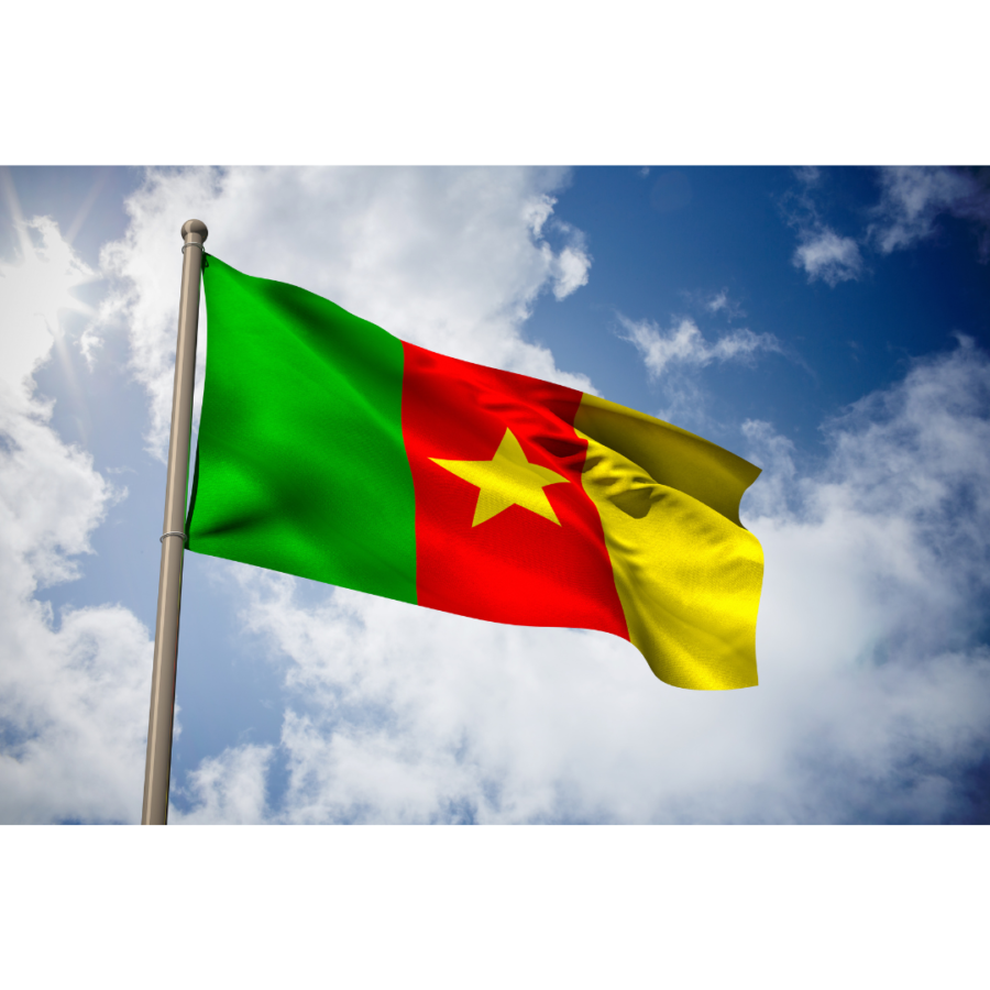 OSC is coming to Cameroun